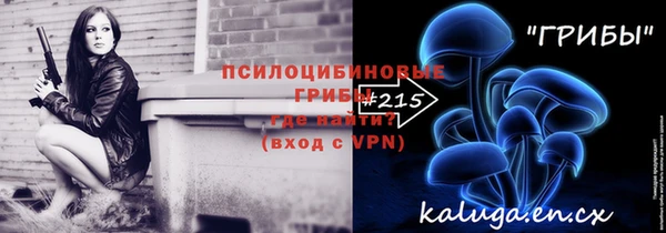 дурь Мегион