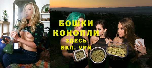 хмурый Медногорск
